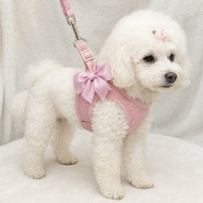 Harnais petit chien perle