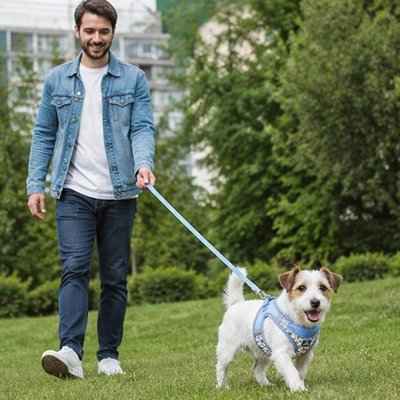 Harnais petit chien MiniPaw™