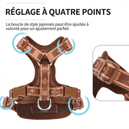 harnais pour chien en y réglage à quatre points ajustable