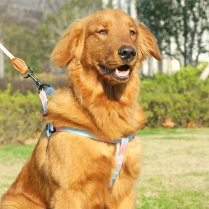 Harnais pour chien | Confort Anti-Traction