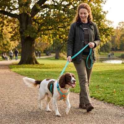 harnais pour chien taille moyenne et petite anti traction