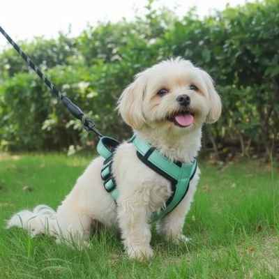 Harnais pour petit Chien | Gilet Sécurisé Sans Traction