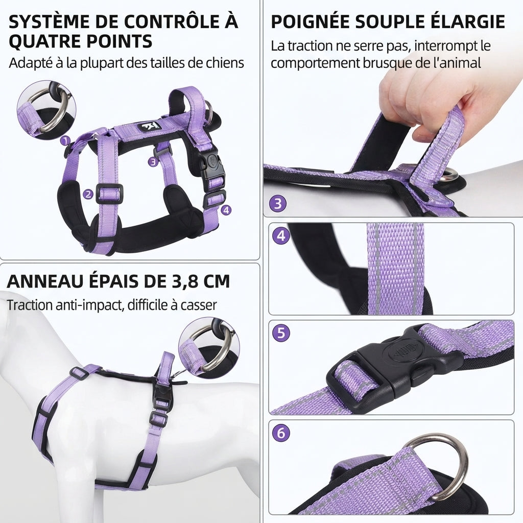 harnais pour petit chien gilet securisé caracteristiques