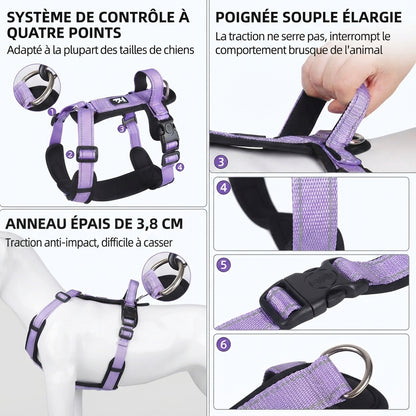harnais pour petit chien gilet securisé caracteristiques