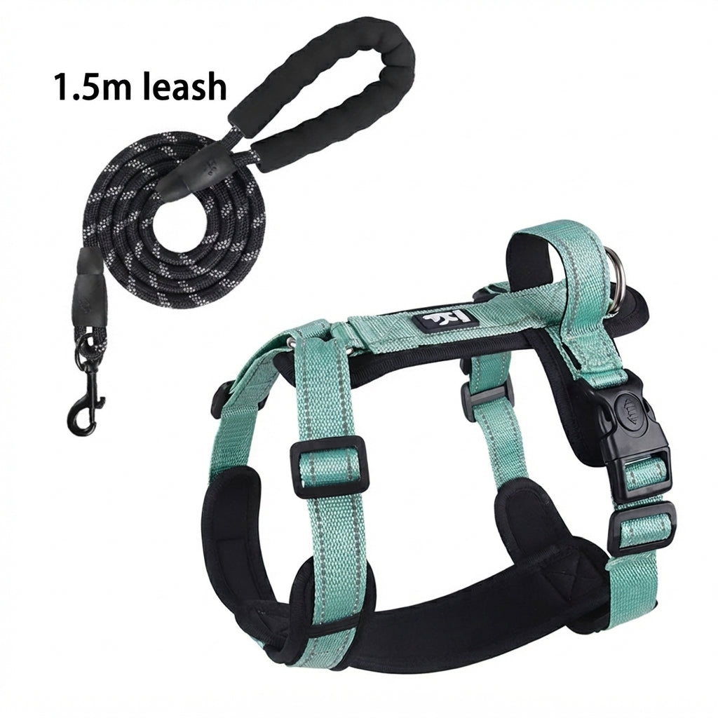 harnais pour petit chien gilet securise en vert