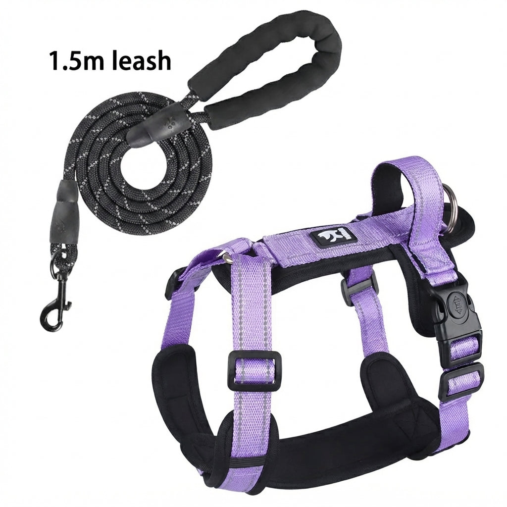 harnais pour petit chien gilet securise en violet
