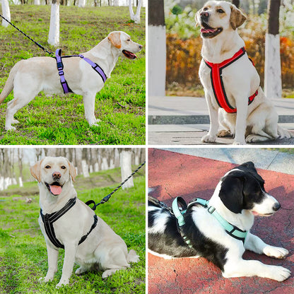  harnais pour petit chien gilet securise vu des 4 cotés 
