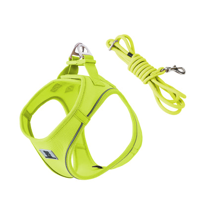 harnais souple chiot couleur vert lime