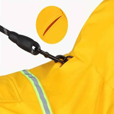 impermeable pour chien boucle laisse