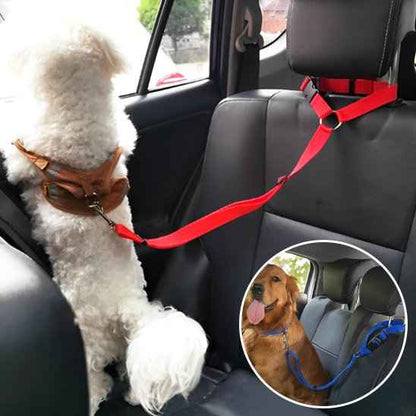 Laisse chien | Confort Securite