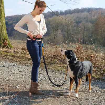 Laisse chien main libre | Confort Optimal