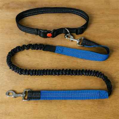 Laisse chien main libre | Confort Optimal