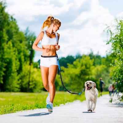 Laisse chien main libre | Confort Optimal