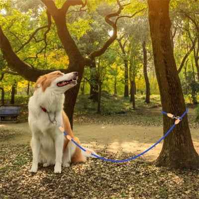 Laisse double pour chien ajustable et douce