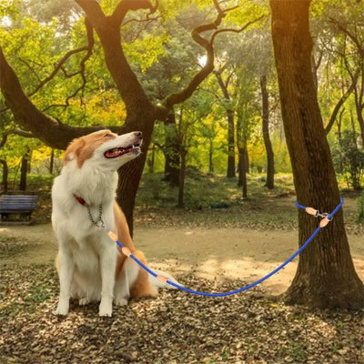 Laisse double pour chien ajustable