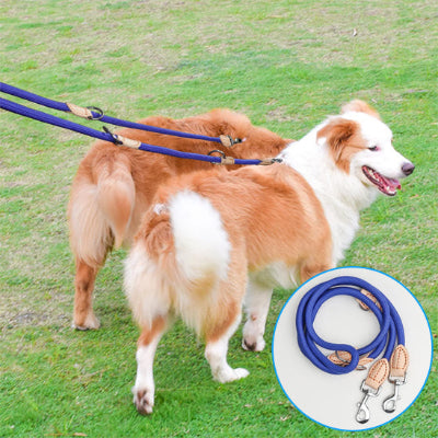 laisse double pour chien bleue