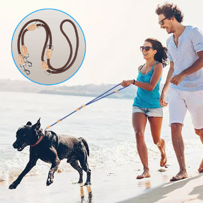 laisse double pour chien brun