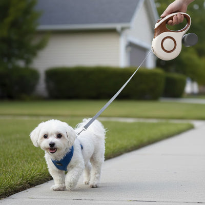 Laisse enrouleur rétractable | Freinage instantané