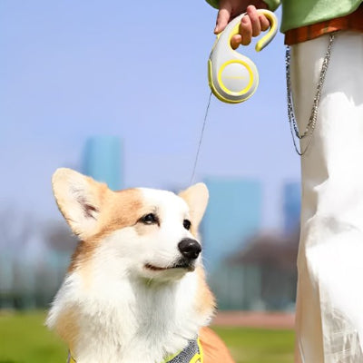 Laisse enrouleur pour chien 5metre 