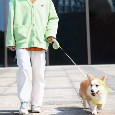 Laisse enrouleur pour chien avec abs