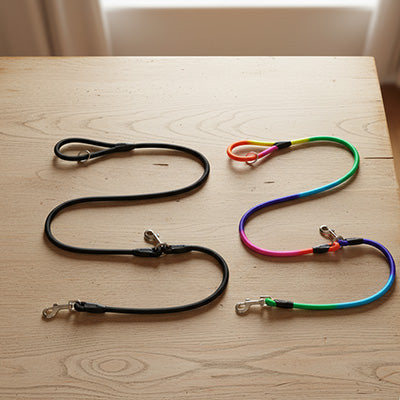 laisse pour chien taille petite grande 