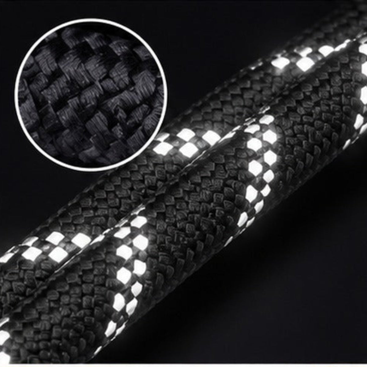Laisse réfléchissante pour chien avec fibres réfléchissantes