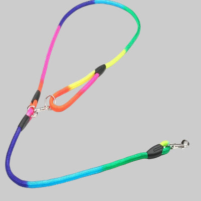 laisse pour chien couleur arc en ciel