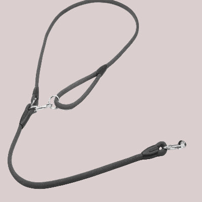 laisse pour chien noir