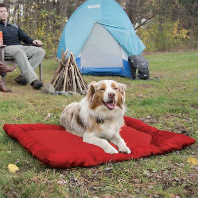 Lit de camp pour chien impermeable