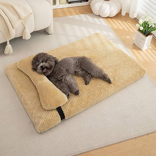 Lit pour chien beige