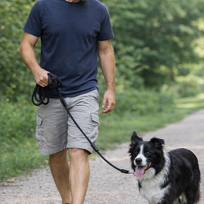 Longe pour Chien  à corde longue robuste 
