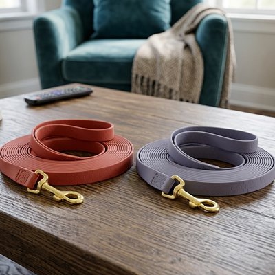 Longe pour Chien en BioThane vegan et durable  