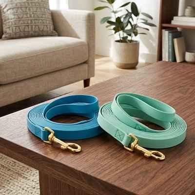 Longe pour Chien | Extensible Résistante