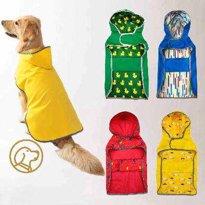 Manteau Chien couleur deux style