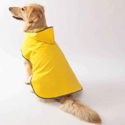 manteau Chien couleur jaune