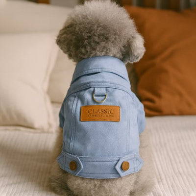 Manteau chien en jeans en bleu