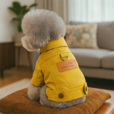 Manteau chien en jeans en jaune