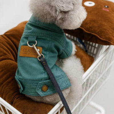 Manteau chien en jeans en vert