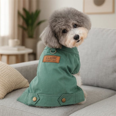 Manteau chien en jeans pour printemps