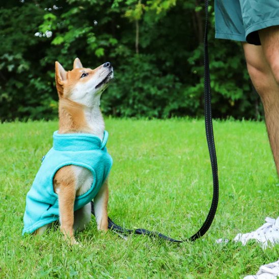Manteau chien gilet en polaire avec anneau laisse