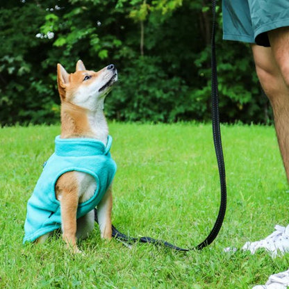 Manteau chien gilet en polaire avec anneau laisse
