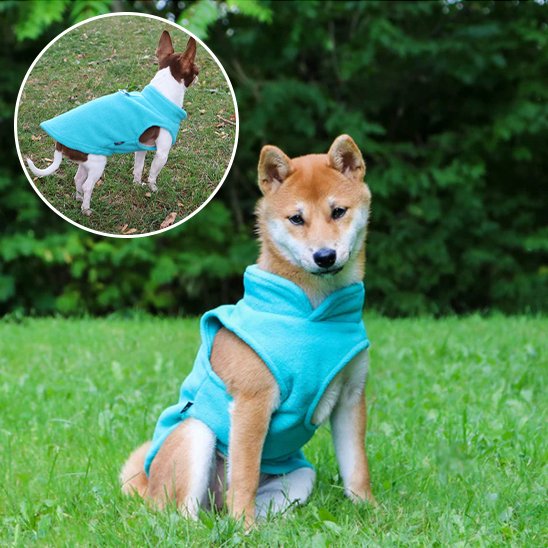 Manteau chien gilet en polaire bleu clair