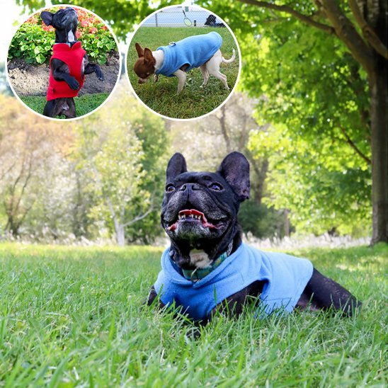 Manteau chien gilet en polaire chaud