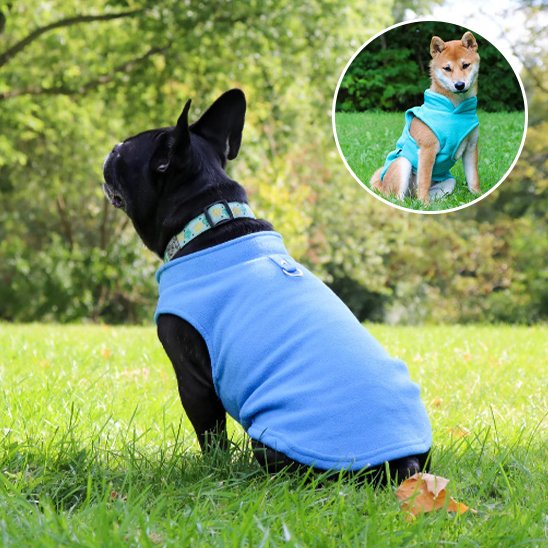 Manteau chien gilet en polaire en bleu