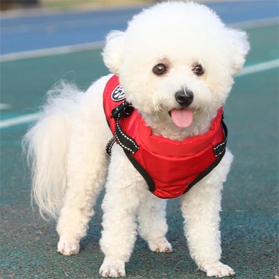 Manteau Chien impermeable avec harnais chaud