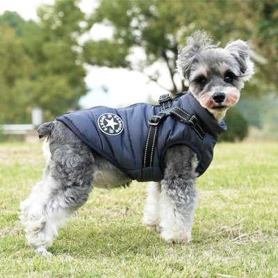 Manteau Chien impermeable avec harnais en bleu