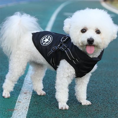 Manteau Chien impermeable avec harnais en noir