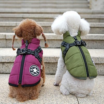 Manteau Chien impermeable avec harnais 