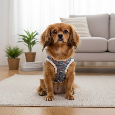 Manteau Chien veste chiot a fleur bleu