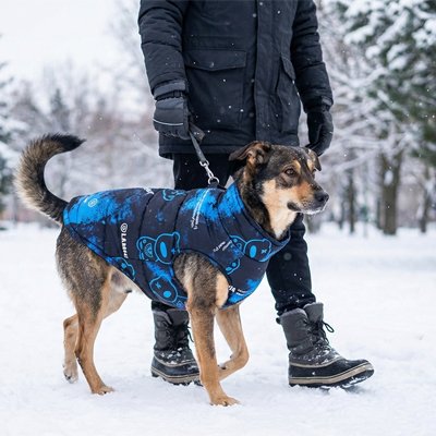 Manteau chien veste impermeable pour grand chien sechage rapide